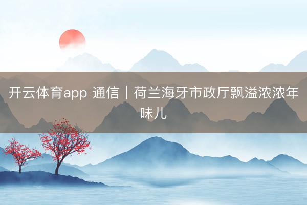 开云体育app 通信｜荷兰海牙市政厅飘溢浓浓年味儿