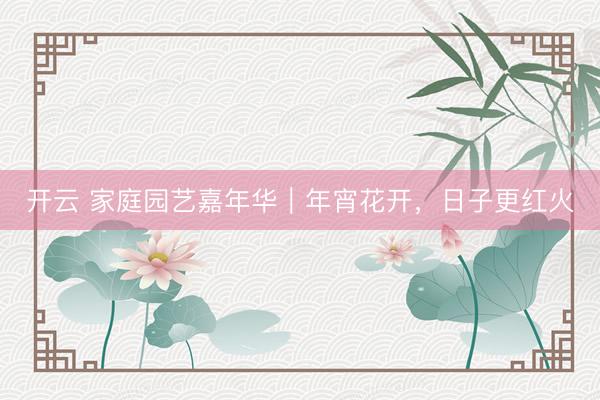 开云 家庭园艺嘉年华｜年宵花开，日子更红火