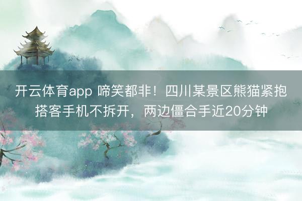 开云体育app 啼笑都非！四川某景区熊猫紧抱搭客手机不拆开，两边僵合手近20分钟