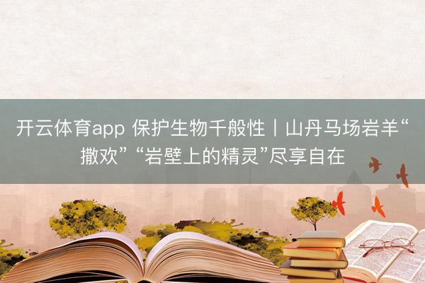 开云体育app 保护生物千般性丨山丹马场岩羊“撒欢” “岩壁上的精灵”尽享自在