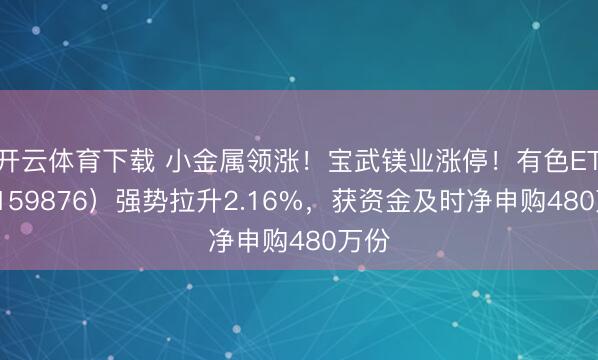 开云体育下载 小金属领涨!宝武镁业涨停!有色ETF(159876)强势拉升2.16%,获资金及时净申购480万份