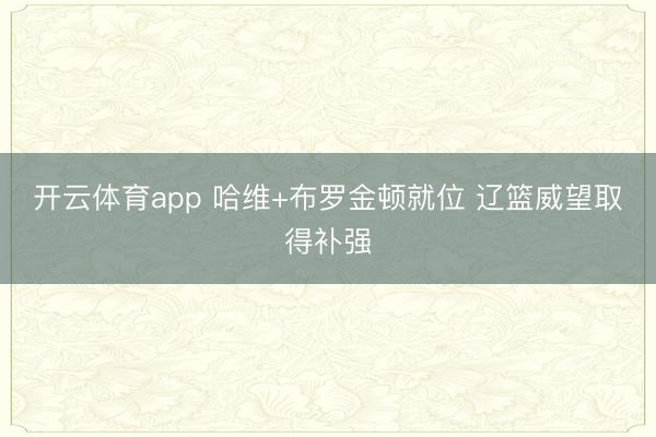 开云体育app 哈维+布罗金顿就位 辽篮威望取得补强