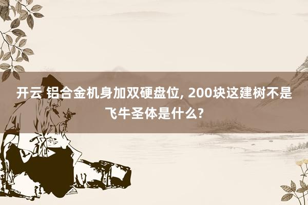 开云 铝合金机身加双硬盘位, 200块这建树不是飞牛圣体是什么?