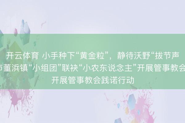 开云体育 小手种下“黄金粒”，静待沃野“拔节声”！常熟市董浜镇“小组团”联袂“小农东说念主”开展管事教会践诺行动