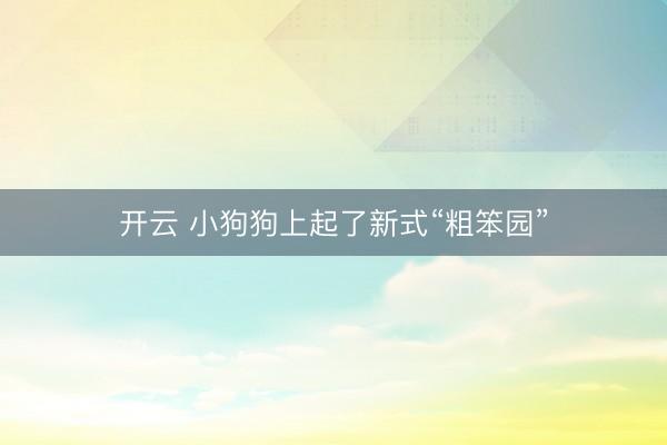 开云 小狗狗上起了新式“粗笨园”
