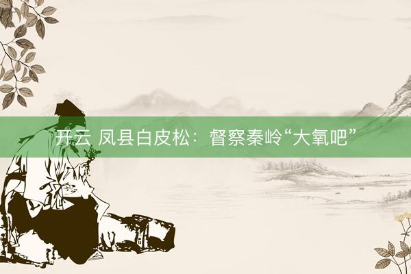 开云 凤县白皮松：督察秦岭“大氧吧”