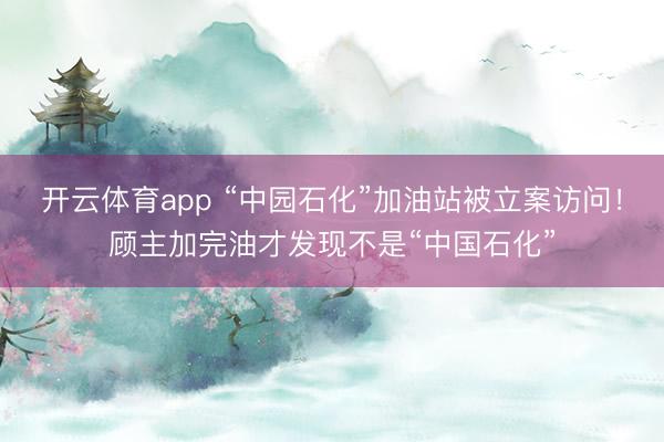 开云体育app “中园石化”加油站被立案访问！顾主加完油才发现不是“中国石化”