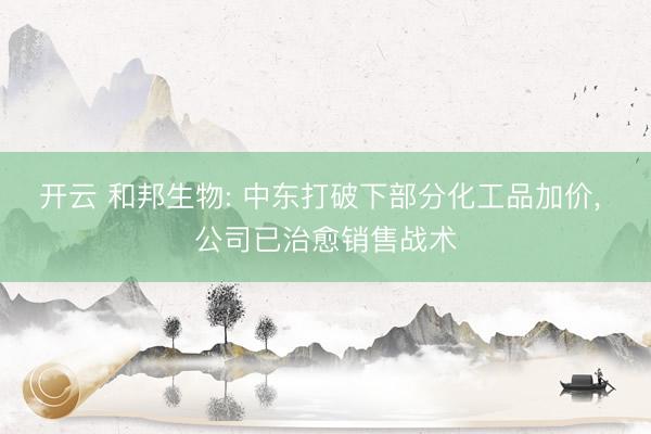开云 和邦生物: 中东打破下部分化工品加价, 公司已治愈销售战术